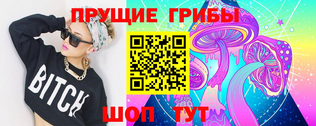 Псилоцибиновые грибы Psilocybine cubensis  Псилоцибиновые грибы мицелий  Новороссийск  Вход с VPN 