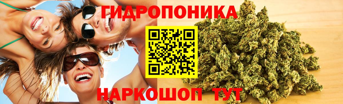 Шишки марихуана THC 21%  Вход с VPN  Бошки марихуана планчик  Марихуана тримм  Новороссийск 